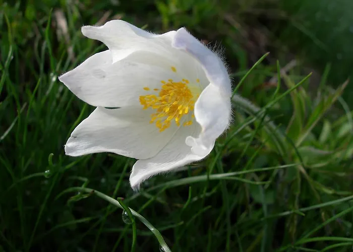 Lodge Am Krippenstein *